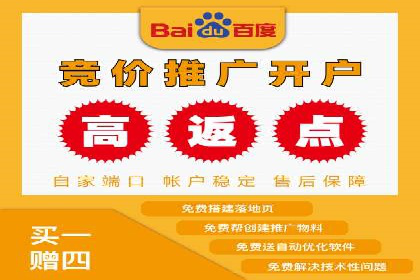 某知名品牌SEM推广的创意与效果